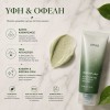 Αφρός καθαρισμού προσώπου Anua Heartleaf με BHA για λιπαρότητα, ακμή, πόρους και βαθύ καθαρισμό